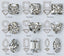 A Complete Guide to Diamond Shapes