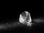 CVD vs. HPHT Lab-Grown Diamonds: Understanding the Difference