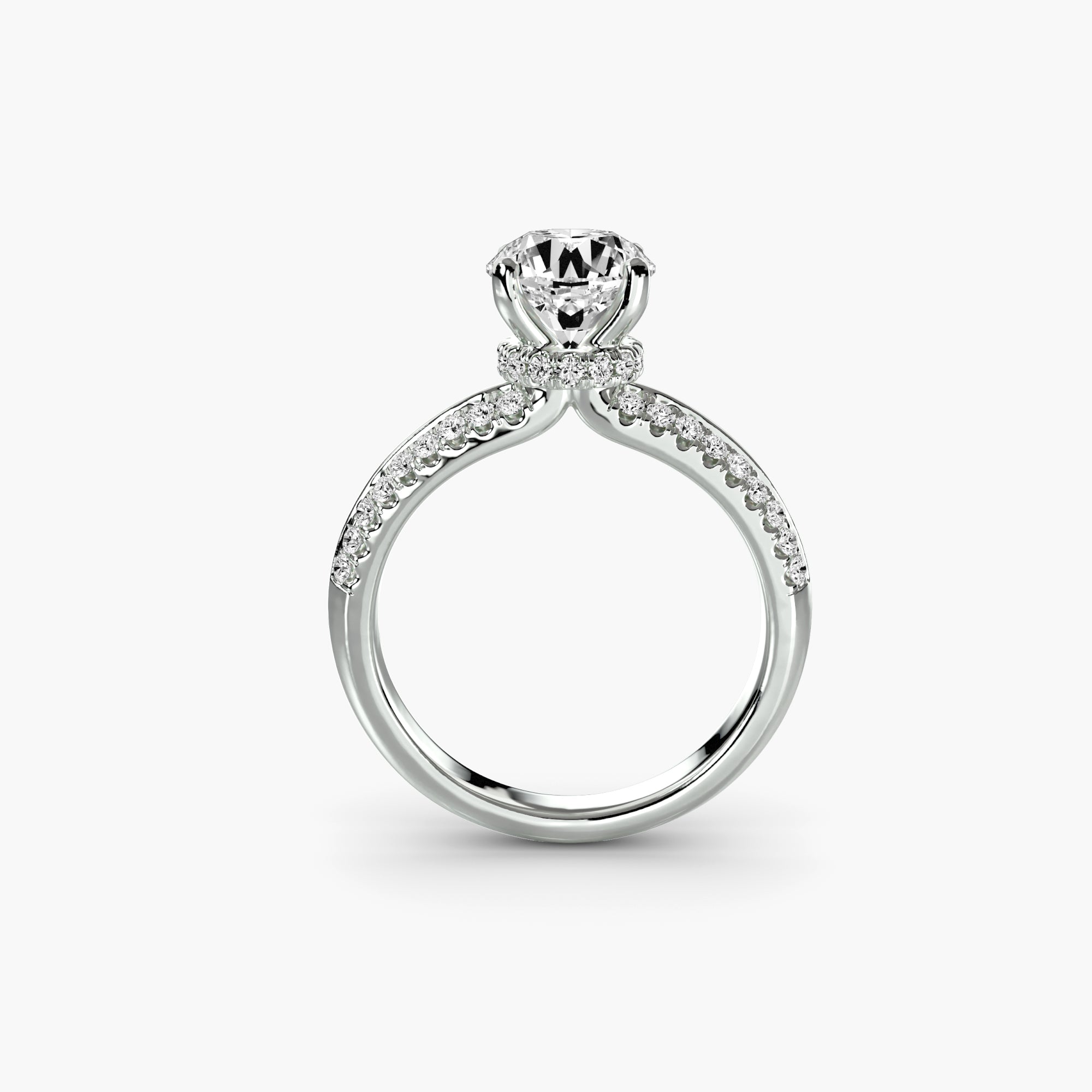 Marina Solitaire with Pavé Band