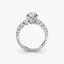 The Graduated Accent Ring